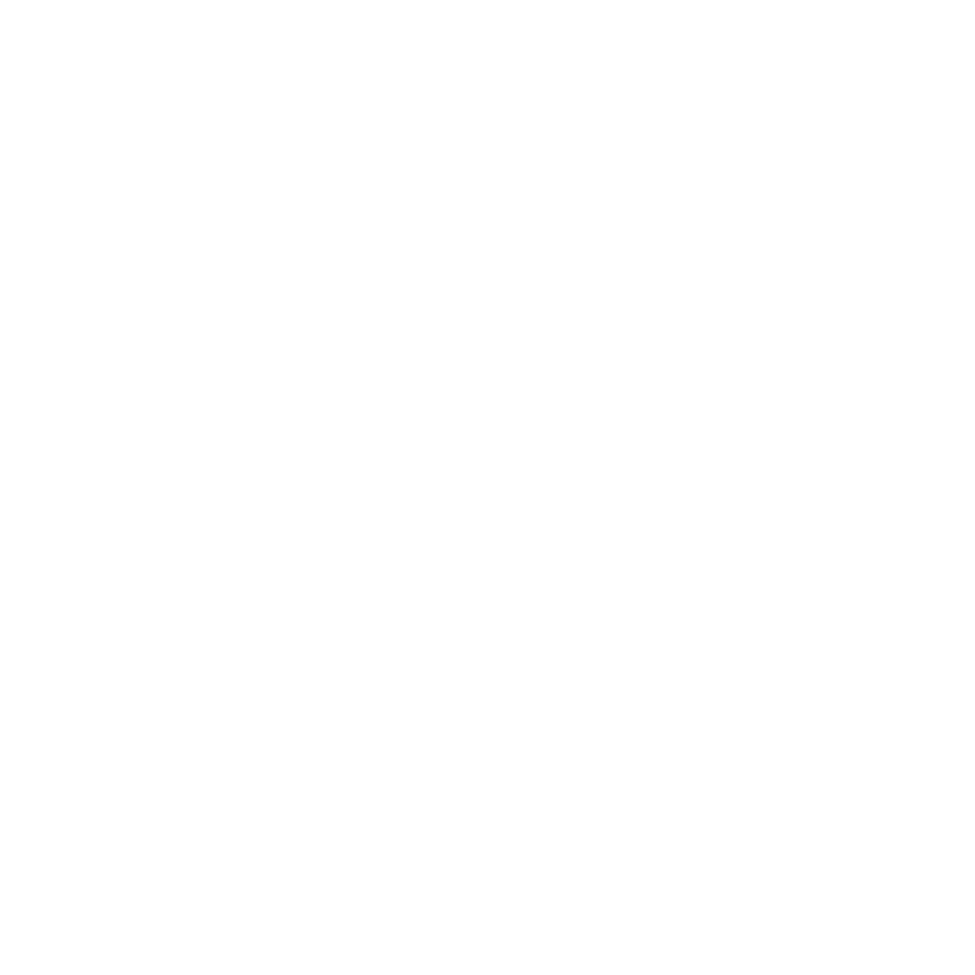 The Coach